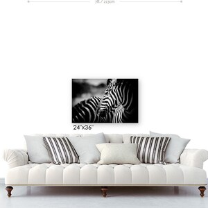 Animal Photography and Wildlife Decor, Zebra Modern Black and White Fine Art Photography image 6