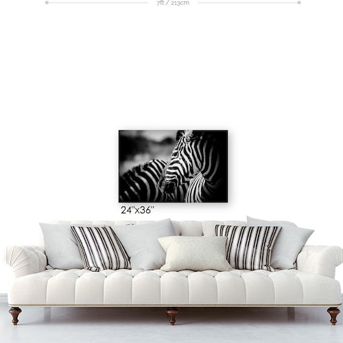 Animal Photography and Wildlife Decor, Zebra top Modern Black and White Fine Art Photography