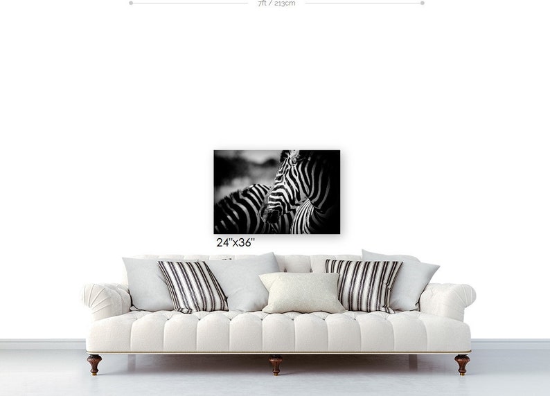 Animal Photography and Wildlife Decor, Zebra Modern Black and White Fine Art Photography image 6