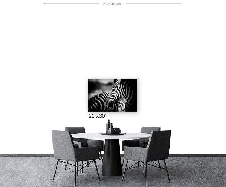 Animal Photography and Wildlife Decor, Zebra Modern Black and White Fine Art Photography image 5