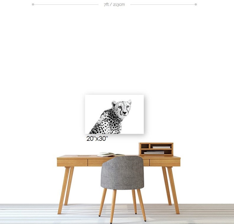 Cheetah Wildlife Art Modern Home Wall Decor Black and White Fine Art Animal Photography image 5