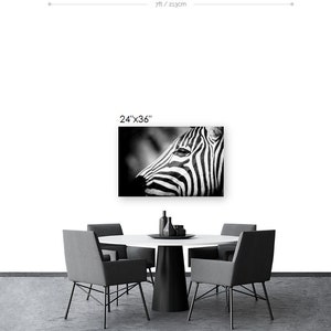 Zebra Fine Art Photography Wildlife Art Modern Wall Art Black and White Photo Monochrome Wild Animal image 7