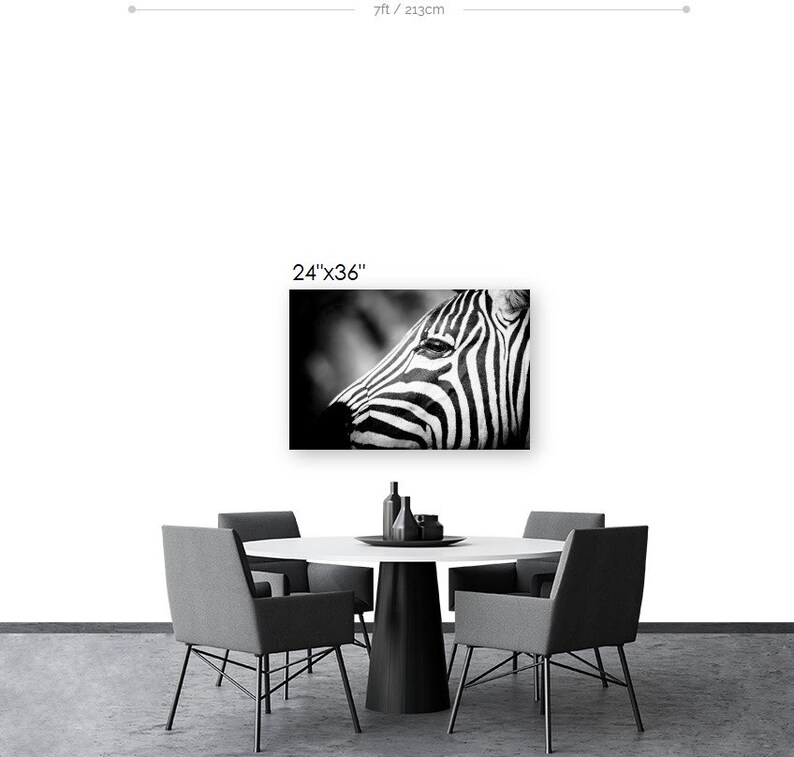 Zebra Fine Art Photography Wildlife Art Modern Wall Art Black and White Photo Monochrome Wild Animal image 7