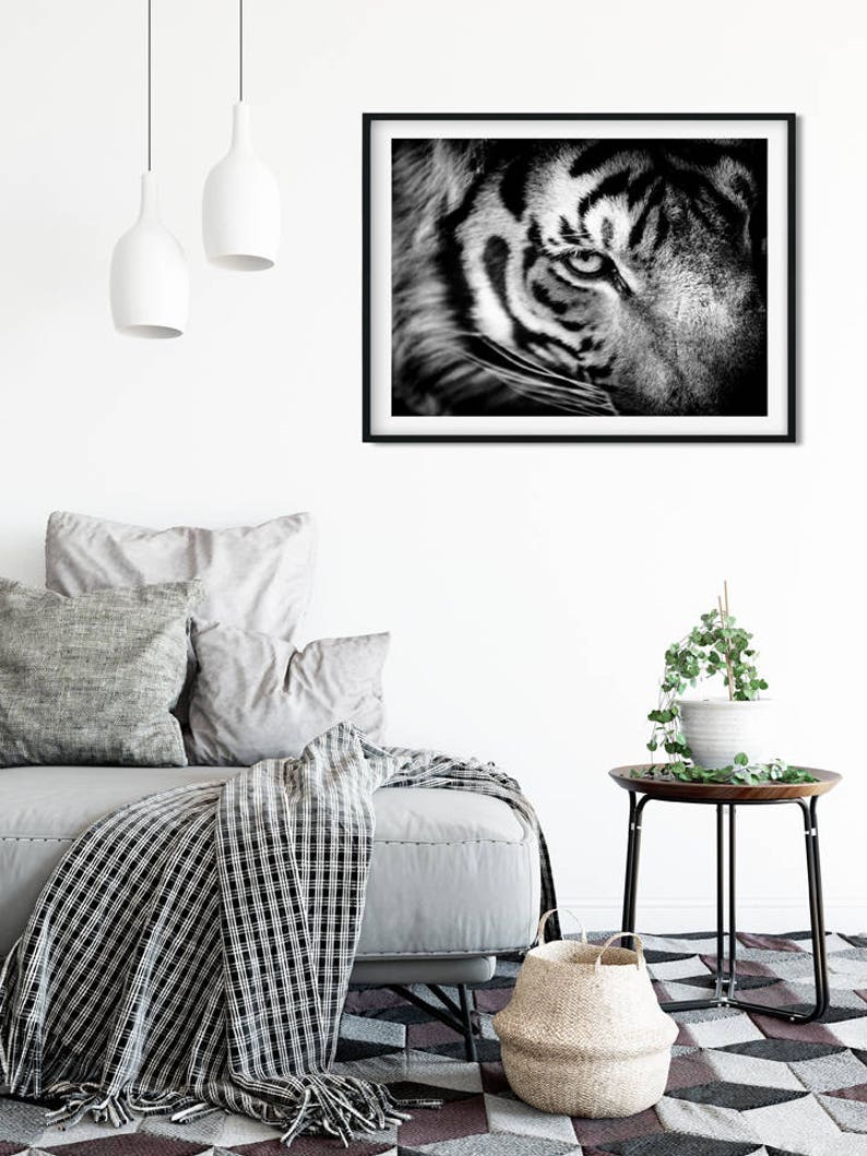 Tiger Fine Art Monochrome Animal Photography Black and | Etsy