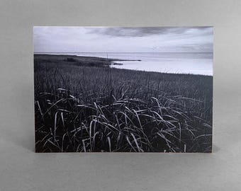 Fotografía de marismas salinas, tarjeta de felicitación con paisaje costero (6 x 4 pulgadas)