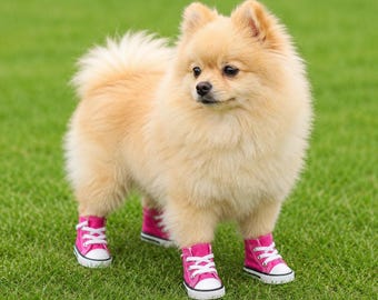 Waterproof Dog Boots | Canvas Anti-Slip Paw Protectors for Small Dogs