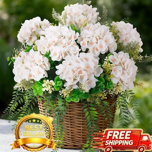 Peut inclure: Un bouquet de fleurs d'hortensia blanches aux centres rose pâle, disposées avec un feuillage vert et des feuilles traînantes semblables à des fougères dans un panier en osier brun tressé. L'arrangement présente plusieurs têtes florales.