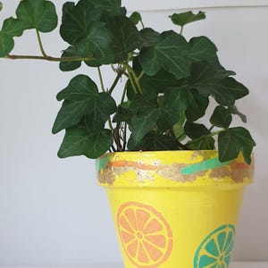 Op de afbeelding: Een felgele terracotta plantenpot met handgeschilderde motieven van oranje en turquoise citrusvruchtschijfjes. De rand is versierd met bladgoudaccenten en golvende lijnen. Een weelderige groene klimop groeit uit de bovenkant van de pot.