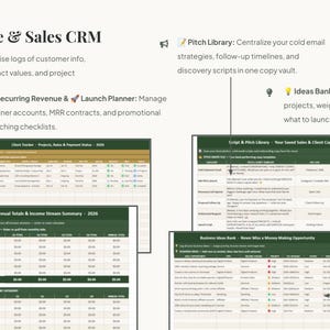 May include: A digital Lead Pipeline & Sales CRM dashboard featuring a Client Tracker, Recurring Revenue & Launch Planner, Pitch Library, and Ideas Bank. The interface displays tables with columns for project status, income streams, and business ideas.