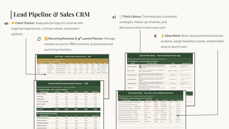May include: A digital Lead Pipeline & Sales CRM dashboard featuring a Client Tracker, Recurring Revenue & Launch Planner, Pitch Library, and Ideas Bank. The interface displays tables with columns for project status, income streams, and business ideas.