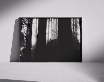 Flüsterer, Alishan, Taiwan | Schwarz-Weiß-Fotografie | Druckbare Wandkunst | Sofort Download