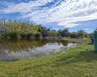 Farm