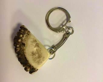 Moose antler keychain