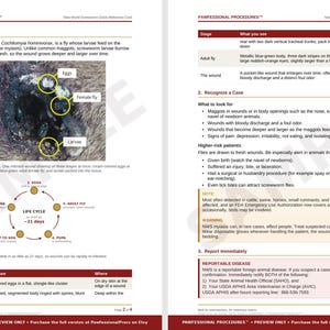 May include: A two-page educational reference card titled PAWFESSIONAL PROCEDURES regarding New World screwworm identification. It includes a photograph of an infected wound with labels for eggs, larvae, and a female fly, plus a life cycle diagram.
