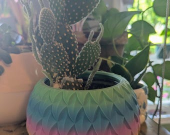 Rainbow Geometric Flower Pot, Intricate Plant Holder