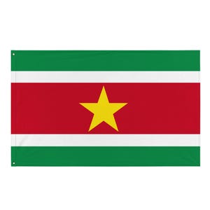 Op de afbeelding: Een rechthoekige vlag met horizontale banen in groen, wit, rood, wit en groen. De middelste rode baan is breder dan de andere en bevat een grote, vijfpuntige gele ster in het midden van het veld van de vlag.