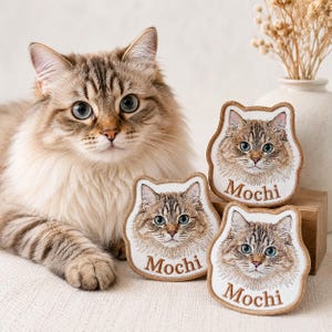 May include: A long-haired brown tabby cat with blue eyes sits next to three cat-shaped embroidered patches. Each patch features a detailed portrait of the same cat with the name Mochi stitched in brown thread at the bottom of the white fabric.