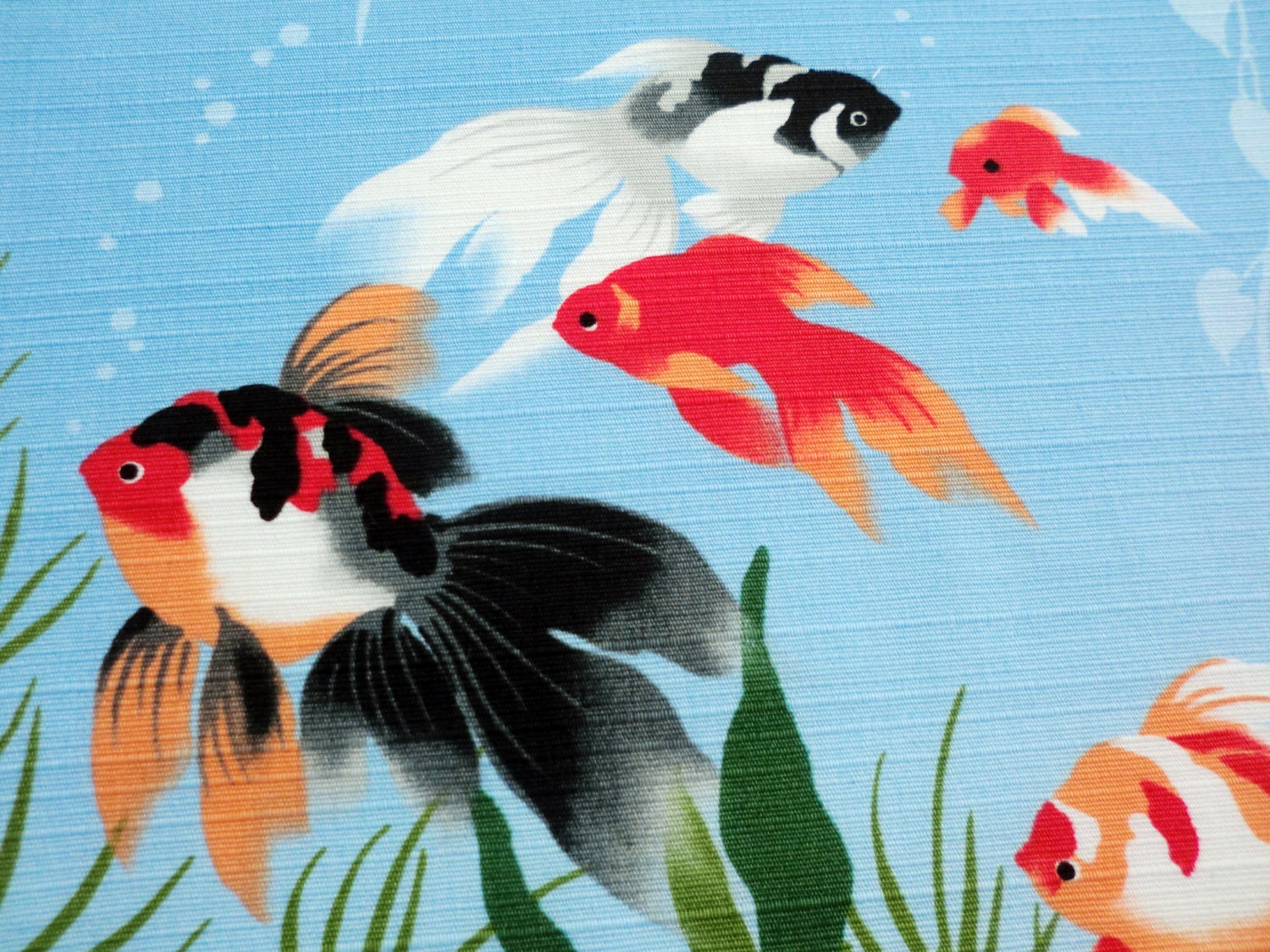 Furoshiki Wrapping Cloth Deep Blue 'Kingyo' Japanese Goldfish Fabric Cotton 50cm 