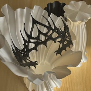 May include: A black, intricate, pointed crown with a sharp, web-like lattice design. The crown is positioned inside a large, white, ruffled, trumpet-shaped object with deep vertical folds, alongside a smaller, dark, fluted cylindrical object.