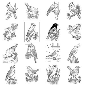 Op de afbeelding: Zwart-wit lijntekeningen van verschillende vogels in diverse poses. Sommige vogels zitten op takken, andere zijn in vlucht of aan het eten. De collectie bevat een kolibrie, een kardinaal en andere vogelsoorten.