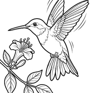 May include: A monochrome illustration of a hummingbird hovering near a flower. The image features detailed linework, showing the bird's wings, beak, and the flower's petals and leaves. The style is illustrative.