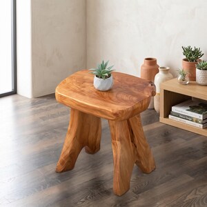 Cedar Root Wood Stool Side Table Live Edge Rustic Accent Furniture