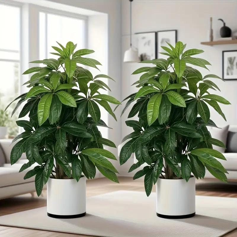 Plants Outside Large - Etsy UK