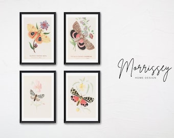 Vintage Moths Artwork