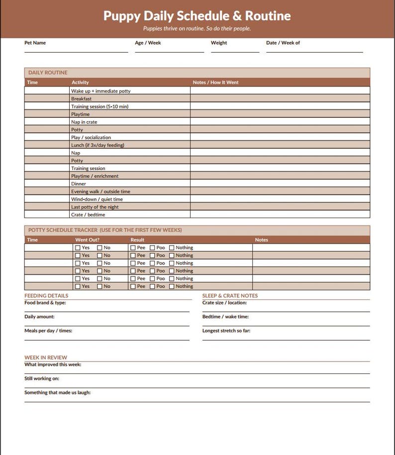 May include: A printable puppy daily schedule and routine chart. The chart includes sections for daily activities, potty schedule tracking, feeding details, and sleep notes. The title reads "Puppy Daily Schedule & Routine".