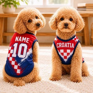 Pu&ograve; includere: Due cani dal pelo riccio marrone chiaro indossano maglie senza maniche. Il cane a sinistra indossa una maglia rossa, bianca e blu con la scritta NAME e il numero 10. Il cane a destra indossa una maglia abbinata con la scritta CROATIA e un motivo a scacchi.