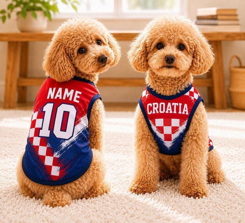 Pu&ograve; includere: Due cani dal pelo riccio marrone chiaro indossano maglie senza maniche. Il cane a sinistra indossa una maglia rossa, bianca e blu con la scritta NAME e il numero 10. Il cane a destra indossa una maglia abbinata con la scritta CROATIA e un motivo a scacchi.