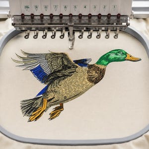 Könnte beinhalten: Ein Stickrahmen mit cremefarbenem Stoff, auf dem ein maschinell gesticktes Motiv einer fliegenden Stockente zu sehen ist. Die Ente hat einen leuchtend grünen Kopf, einen gelben Schnabel, braune Brustfedern und Flügel mit blauen, grauen und schwarzen Details.