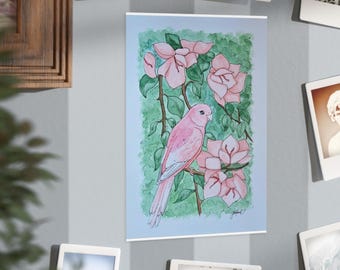 Pinky parrot.