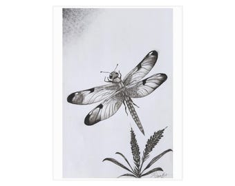 Charcoal dragonfly.