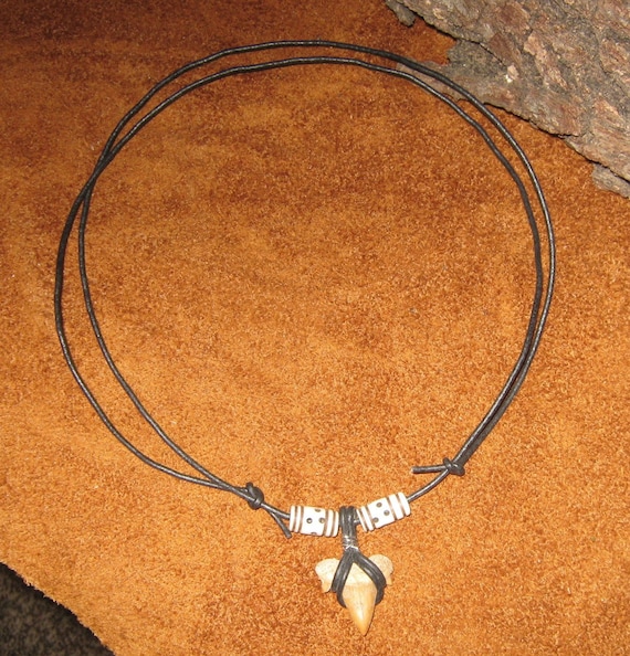 Real Shark Tooth Necklace Genuine Shark 
