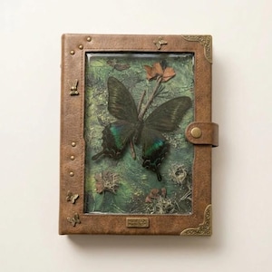Puede incluir: Un diario rectangular marrón con una cubierta de piel sintética texturizada que presenta una ventana central con una mariposa oscura de alas verde iridiscente sobre un fondo verde. La cubierta tiene esquinas de metal color latón y tachuelas de mariposa.
