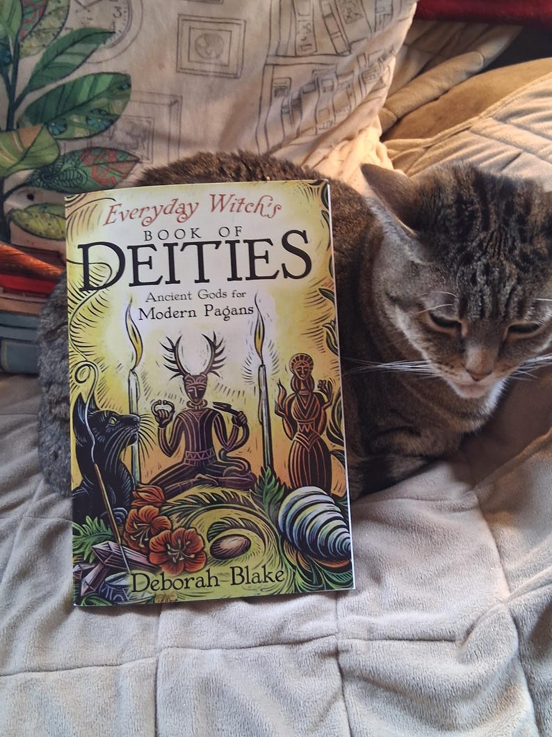 Everyday Witch's Book of Deities, signed by author afbeelding 3