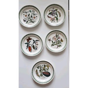Set di 5 piatti da insalata assortiti Portmeirion Botanic Garden, diametro 8,5 pollici.