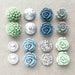 see more listings in the Resin Flower Samplers section