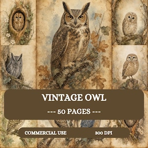 Vintage uilenpagina's voor je junk journal, printbare set met aquarel boslandschap, 50 digitale A4-papiertjes met vogelmotieven voor je scrapbook, nachtuilen.