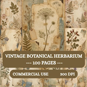May include: A collection of vintage botanical herbarium pages featuring pressed flowers, ferns, mushrooms, and paper tags on aged parchment backgrounds. The image includes the text VINTAGE BOTANICAL HERBARIUM --- 100 PAGES --- COMMERCIAL USE 300 DPI.