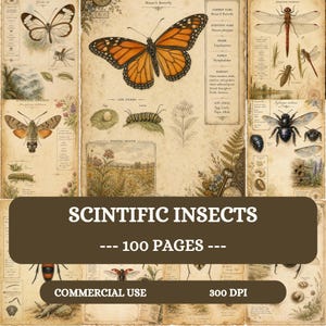 Pode incluir: Uma coleção de ilustrações científicas de insetos em estilo vintage com uma grande borboleta monarca laranja, várias mariposas, libélulas e abelhas. As páginas incluem diagramas detalhados de ciclos de vida, descrições de habitats e esboços botânicos.