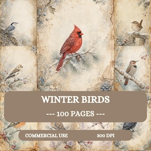 May include: A collection of digital paper sheets featuring various winter birds including a red cardinal, a nuthatch, and a flicker, set against a vintage-style parchment background with snowy pine branches and lace patterns, labeled WINTER BIRDS 100 PAGES.