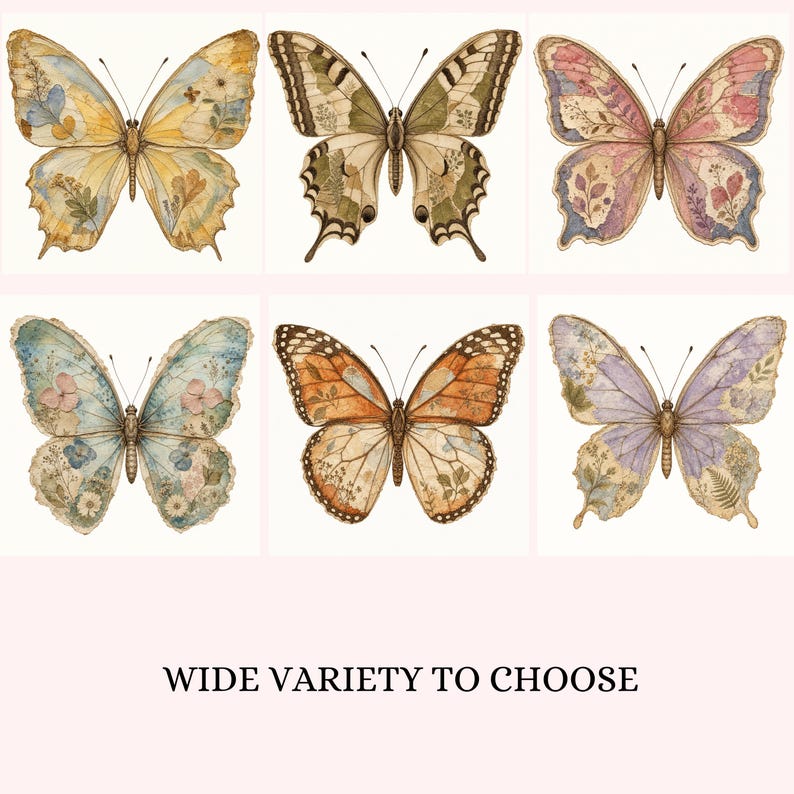 Vintage Butterfly Clipart PNG, 50 Antique Watercolour Butterfly Images, Digital Ephemera for Scrapbooking, Paper Clipart for Journals Crafts image 3