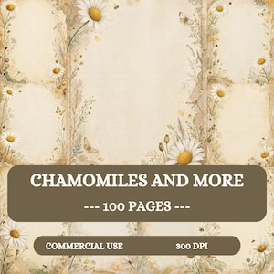 May include: A collection of stationery pages featuring a cream-colored background with botanical illustrations of white chamomile flowers, green stems, butterflies, and bees. The text reads CHAMOMILES AND MORE, 100 PAGES, COMMERCIAL USE, 300 DPI.