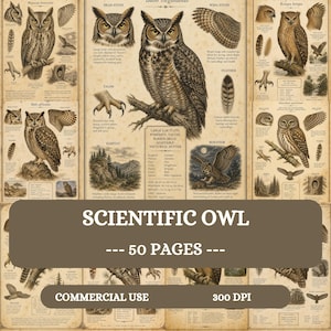 Puede incluir: Una colección de ilustraciones científicas de búhos sobre papel envejecido, con dibujos detallados de varias especies, garras, plumas y hábitats. El texto incluye nombres como Bubo virginianus, datos científicos y el título SCIENTIFIC OWL 50 PAGES.