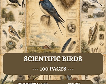 May include: A collection of scientific bird illustrations featuring a barn swallow, chaffinch, and treecreeper with detailed drawings of nests, eggs, and feathers on aged paper. The text reads SCIENTIFIC BIRDS, 100 PAGES, COMMERCIAL USE, 300 DPI.