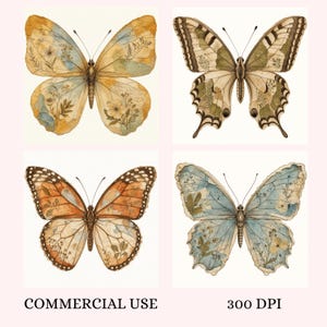 May include: Four butterfly illustrations arranged in a grid. Top left is yellow and blue, top right is green and brown, bottom left is orange and brown, and bottom right is blue and white. Each butterfly features botanical patterns. Text reads COMMERCIAL USE 300 DPI.