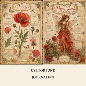 May include: Two vintage-style botanical art prints featuring poppy flowers. The left print displays a detailed poppy illustration with text labels like Poppy, Meaning, and Habitat. The right print depicts a fairy in a red dress with the text Poppy Fairy.