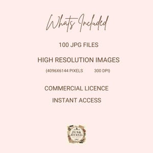 Op de afbeelding: Een lichtroze digitale informatiegrafiek met donkerbruine tekst: Whats Included, 100 JPG FILES, HIGH RESOLUTION IMAGES, 4096X6144 PIXELS, 300 DPI, COMMERCIAL LICENCE, INSTANT ACCESS, en een klein logo met de tekst JUNK JOURNAL ART SHOP.